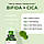 Сироватка проти запалень і акне Manyo Factory Bifida Cica Herb Serum 50 мл (16.10.2025 р), фото 5