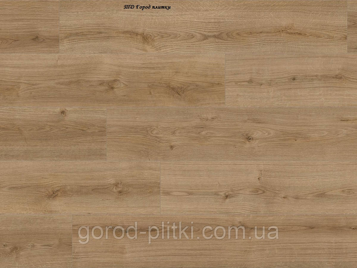 Ламінат Kaindl K4421 - Дуб Evoke Trend Кайндл Натурал Тач Стандард 8mm
