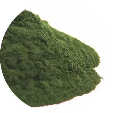 Домішка AQUAXER Chlorella (хлорело) 50 гр. Порошок хлорели для риб для приготування кормів, кормових сумішей, фото 2