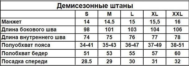 Демісезонні штани чорні TNF чорний лого (двонитка), фото 6