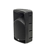 Alex-Audio PLT-12 Пасивна акустична система, фото 4
