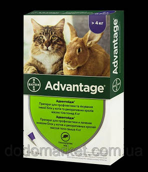 Bayer Advantage Адвантейдж 80 краплі від бліх для котів і кроликів понад 4 кг 4 піпетки