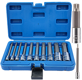 Набір довгих біт впресованих в головку (1/4" 3/8" 1/2") SPLINE M4-M18 10 ел. Vorfal V08064