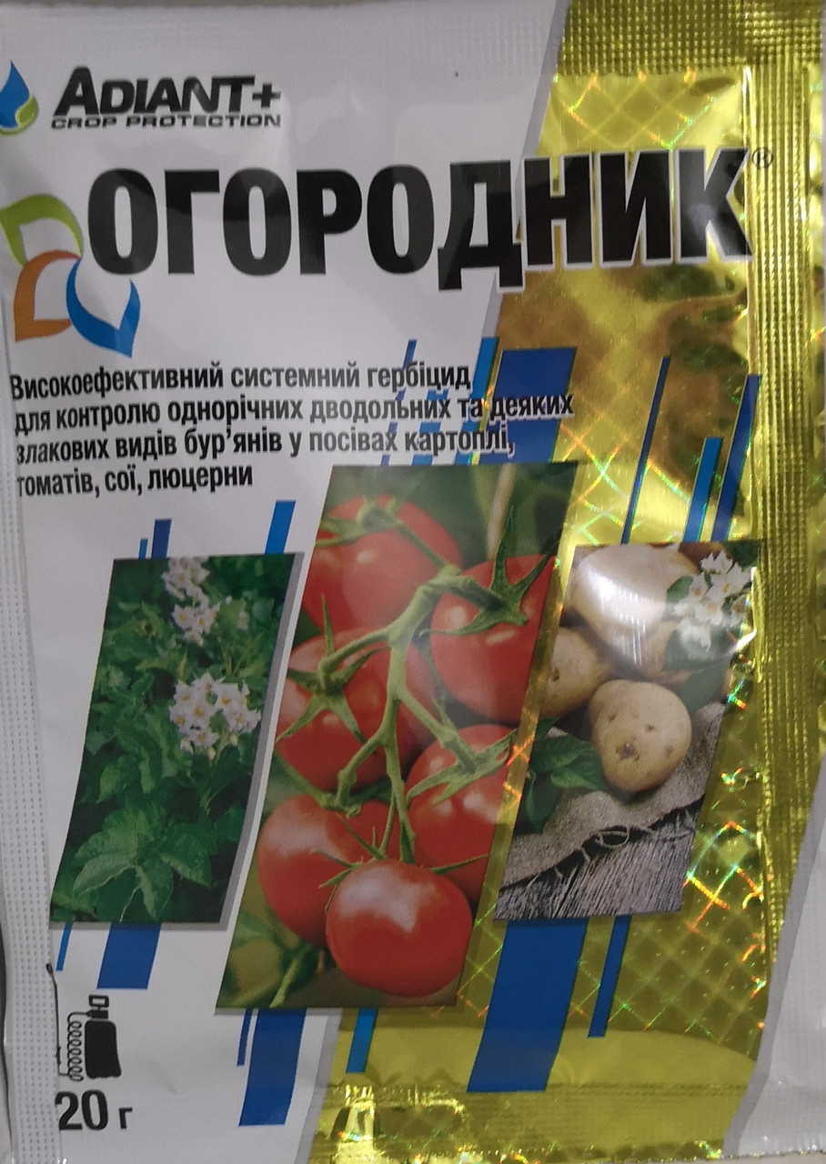 городник 20 г.