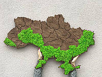Деревянная карта Украины 1х0,65 м. со стабилизированным мхом