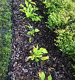 Бордюр садовий пластиковий чорний - Country Standard 15м., фото 5