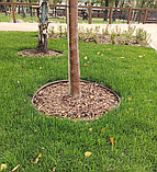 Бордюр садовий пластиковий коричневий - Country Standard 15м., фото 2