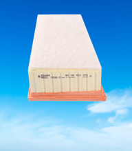 Повітряний фільтр на Renault LAGUNA /LAGUNA II / GRANDTOUR  (Original) 165468470R/8200431051