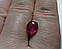 Рубін 2.68 Ct. 8.6 x 7.4 x 3.8 mm, фото 7
