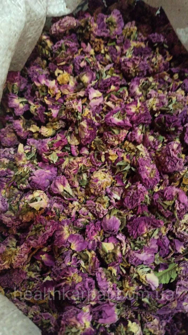 Троянда чайна колір 50 грамм, фото 1