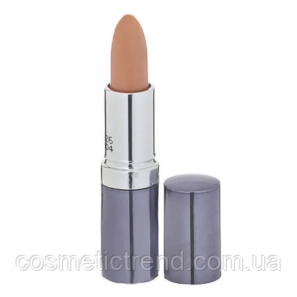 Seventeen помада губна Lipstick Special #372 Nude Shimmer Sheer (розпродажу), фото 1