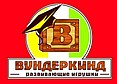 Вундеркинд развивающие игрушки