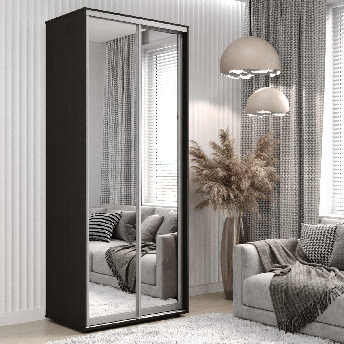 Двухдверный Шкаф-купе Viant 1-4 100x45x220 Дуб Венге Темный Зеркало ...