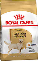 Корм для лабрадора Royal Canin Labrador adult 12 кг