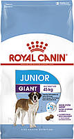 Корм для щенка гигантской породы от 8 до 24 месяцев Royal Canin Giant Junior 15 кг