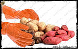 Рукавички для чищення овочів Tater Mitts 2 шт., фото 5