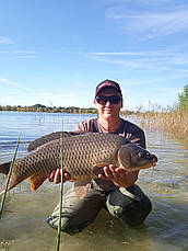 Метод мікс Bloodworm (Мотиль) Carp Drive 5 в 1, фото 3