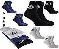 Шкарпетки чоловічі спорт 6 пар демісезонні бавовняні трикотажні середні