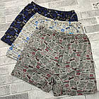 Труси чоловічі сімейні ростовка р.48-50,50-52,52-54,54-56 асорти Україна 988117687, фото 4