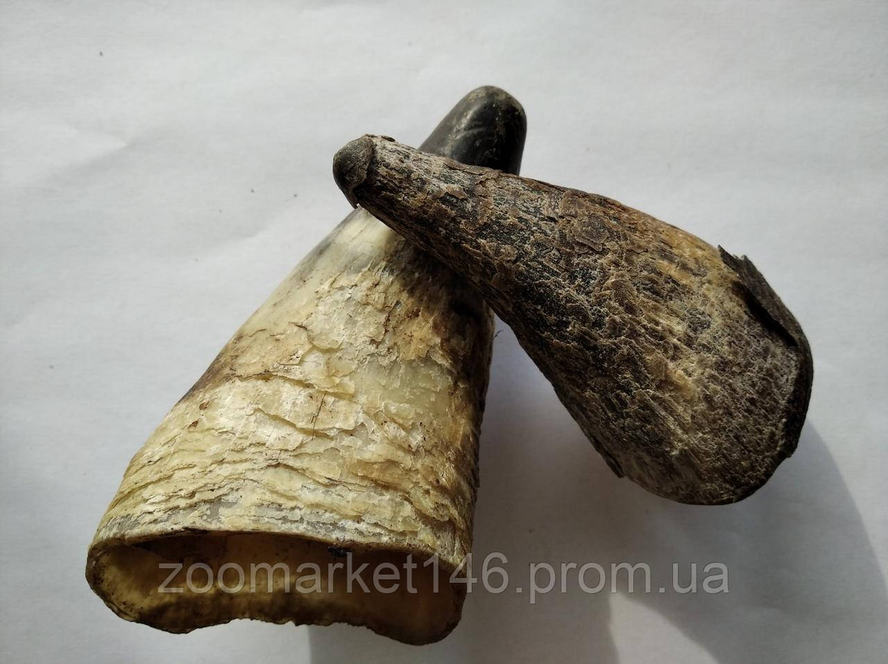 Натуральний ріг бика, великий, 1 шт