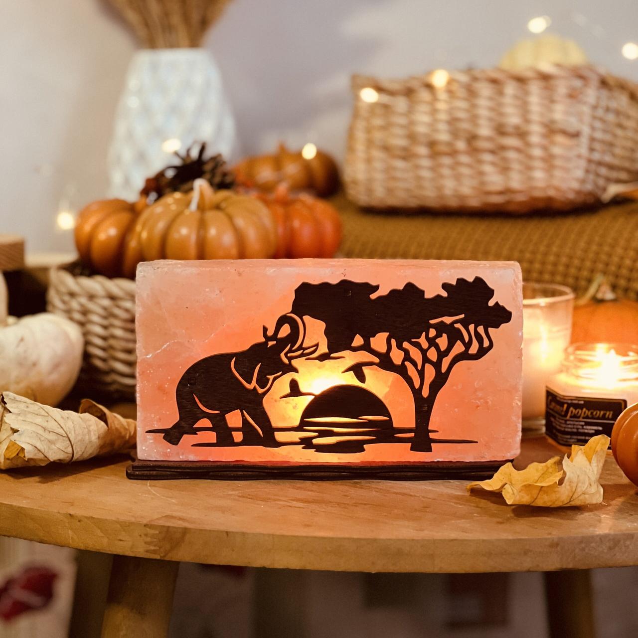 Соляна лампа Африка, 2 кг (20*10*5 см), фото 1