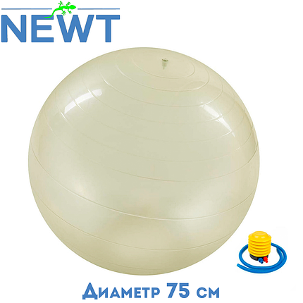 М'яч для фітнесу гладкий гімнастичний м'яч фітбол з насосом 75 см Newt HMS прозорий навантаження 150 кг, фото 1