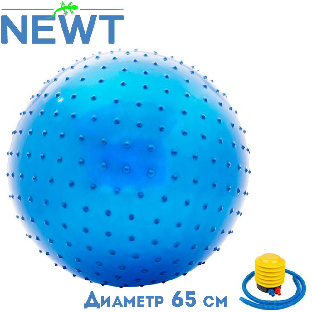 М'яч для фітнесу масажний гімнастичний м'яч фітбол з насосом 65 см Newt HMS синій навантаження 150 кг