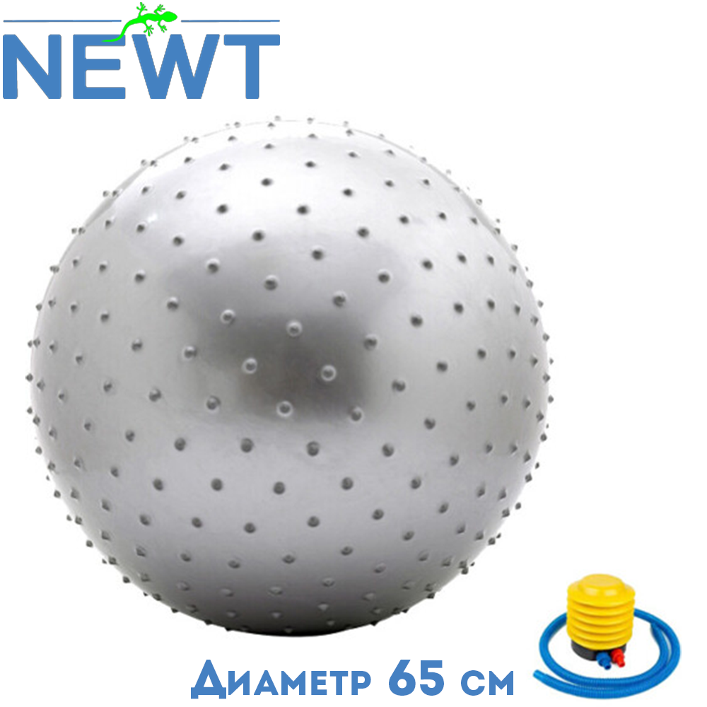 М'яч для фітнесу масажний гімнастичний м'яч фітбол з насосом 65 см Newt HMS сірий навантаження 150 кг