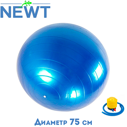 М'яч для фітнесу гладкий гімнастичний м'яч фітбол з насосом 75 см Newt HMS синій навантаження 150 кг, фото 1
