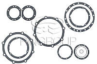 Комплект Прокладок моста заднего-переднего Т-150К (36123)