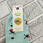 Шкарпетки дитячі високі весна/осінь малюнок асорті. 20/22 (9-10) ЕКО Україна 20029623, фото 4