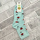 Шкарпетки дитячі високі весна/осінь малюнок асорті. 20/22 (9-10) ЕКО Україна 20029623, фото 2