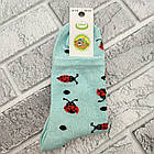 Шкарпетки дитячі високі весна/осінь малюнок асорті. 20/22 (9-10) ЕКО Україна 20029623, фото 3