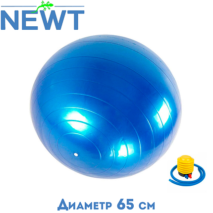 М'яч для фітнесу гладкий гімнастичний м'яч фітбол з насосом 65 см Newt HMS синій навантаження 150 кг, фото 1