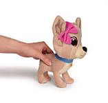 Собачка Simba Chi Chi Love Чихуахуа Зірка мультфільму з сумочкою 20 см (5890020), фото 5