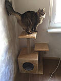 Кігтеточка Дряпка для кота Будиночок для кішок Ігровий комплекс з лежанкою для котів, фото 3