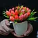 Букет тюльпанів  із мила ручної роботи  в чашці, фото 4