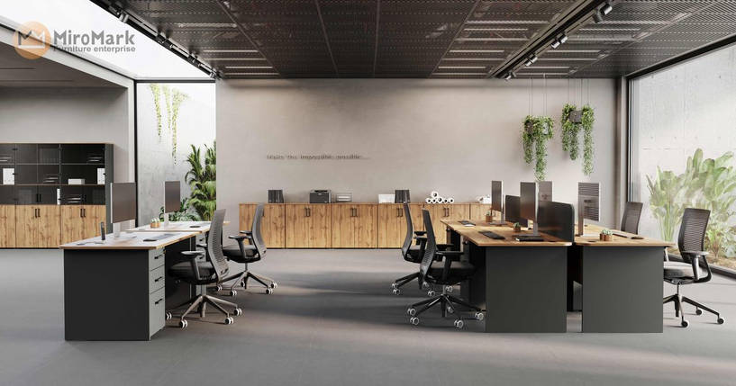 Комод офісний Jurian 2 дв ТМ Міро-Марк, фото 2