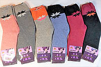 Жіночі підліткові теплі шкарпетки з верблюжої вовни з махрою без гумки, унісекс на 37-41 розмір