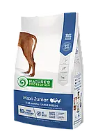 Сухой корм для щенков крупных пород Maxi Junior Large Breeds Nature s Protection 12 кг (мясо птицы)