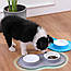 Подвійна миска для собак із силіконовим килимком Нековзна миска для води їжі кішок та цуценят, фото 5