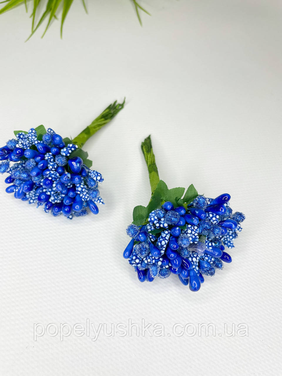 Дрібноцвіт синій, фото 1