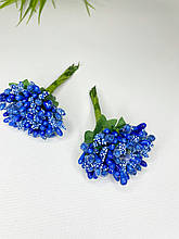 Дрібноцвіт синій