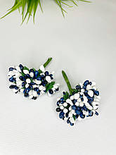 Дрібноцвіт комбінований біло-синій