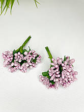 Дрібноцвіт темно-пудровий