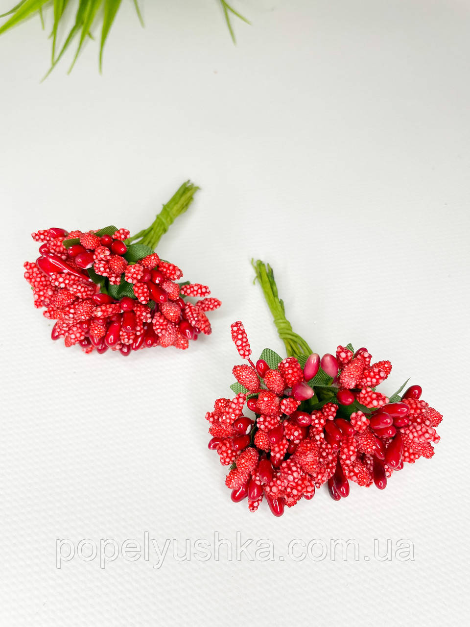 Дрібноцвіт червоний, фото 1