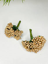 Дрібноцвіт золотий