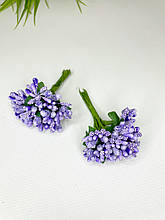 Дрібноцвіт бузковий