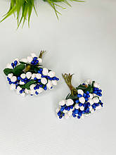 Дрібноцвіт комбінований біло-синій