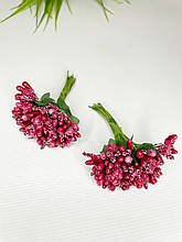 Дрібноцвіт вишневий